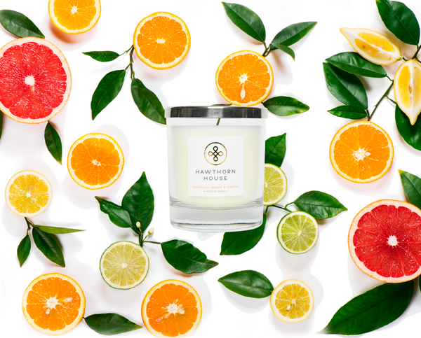 Moroccan Orange & Verbena Candle